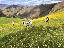 Erlebnispadagogische Tage Losenstein 1a   2024 04 03 05   70